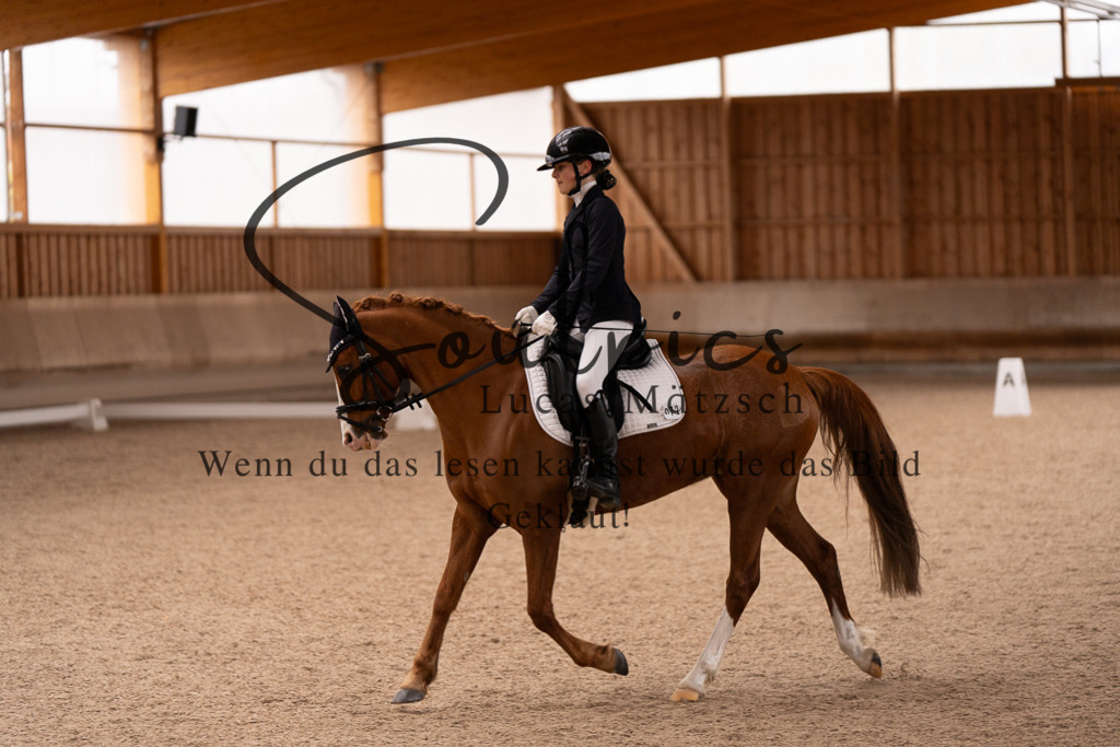 A7507013 | Turnier/Reitfotograf