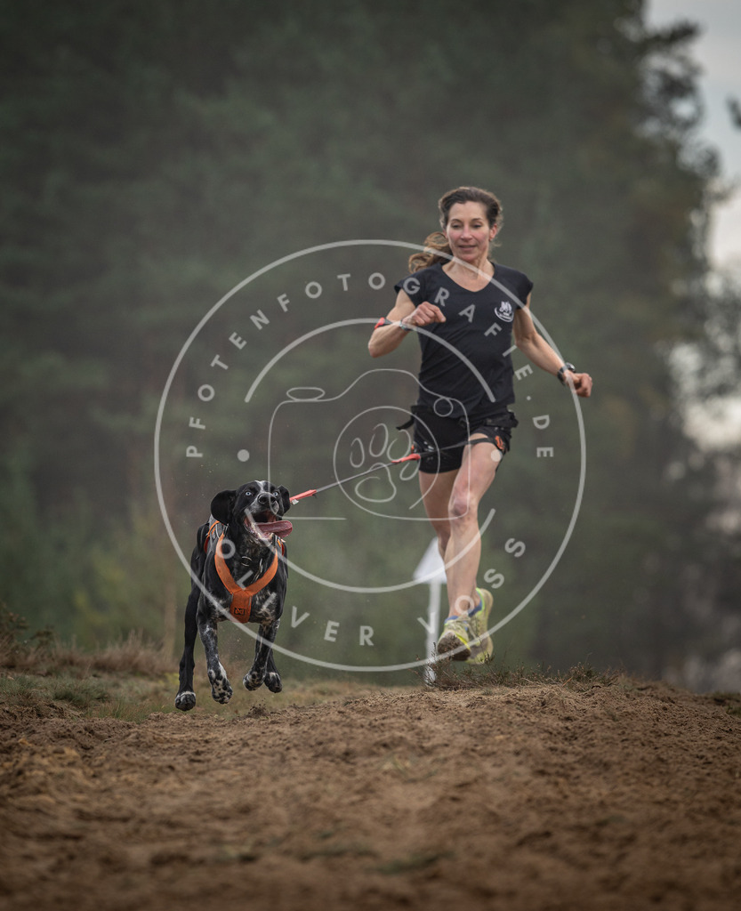 Pfotenfotografie_DV3A5714 | Hundefotografie, Tierfotograf, Pfotenfotografie, Fotoshooting Hund, Hunde Portrait, Hundesport, Hundeportraits, Heideshooting, Hunde, Sportfotograf, Hundefotograf, Turnierhundsport, THS,  - Realisiert mit Pictrs.com