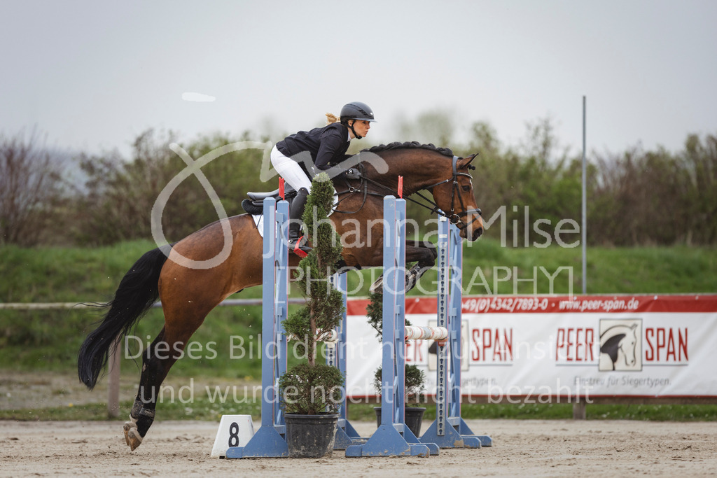 240330_Fruehlingsfest_Stil-A2-2-719 | Deine schönsten Turniermomente als professionelle Fotos! Entdecke hochwertige Pferdesport-Fotografie im Online-Shop. Jetzt Fotos finden & bestellen!