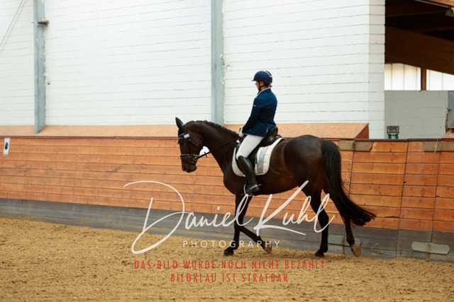 _62_6821 | Turniersportfotografie; Pferdefotografie; Dressurfotografie