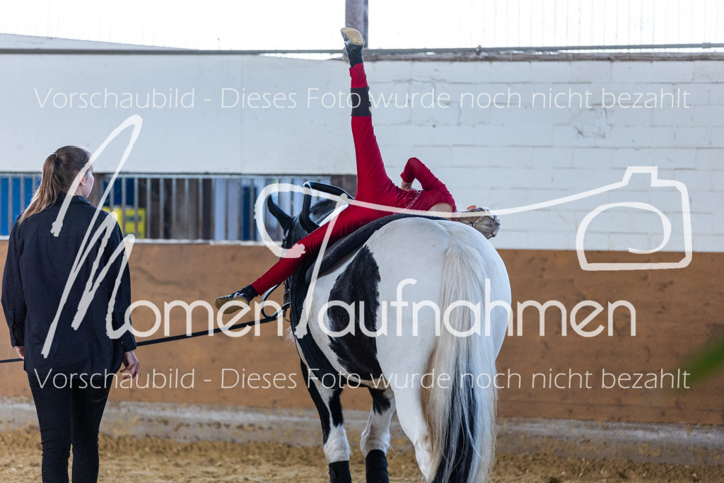 SS-Mini-209 | MomenTaufnahmen Pferdesportfotos