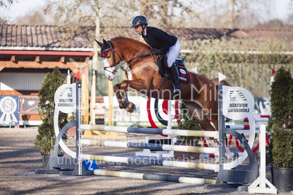 250408_Mühlen_SprPf-A1-143 | Deine schönsten Turniermomente als professionelle Fotos! Entdecke hochwertige Pferdesport-Fotografie im Online-Shop. Jetzt Fotos finden & bestellen!