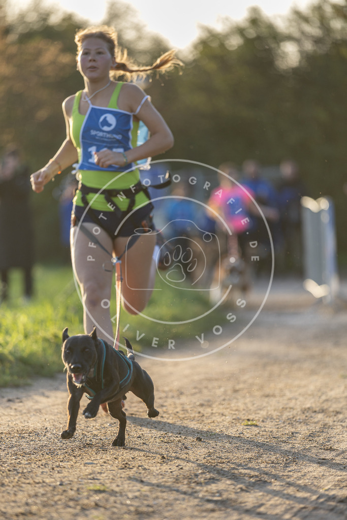 Pfotenfotografie.de_DV3A2459 | Hundefotografie, Tierfotograf, Pfotenfotografie, Fotoshooting Hund, Hunde Portrait, Hundesport, Hundeportraits, Heideshooting, Hunde, Sportfotograf, Hundefotograf, Turnierhundsport, THS, canicross - Realisiert mit Pictrs.com