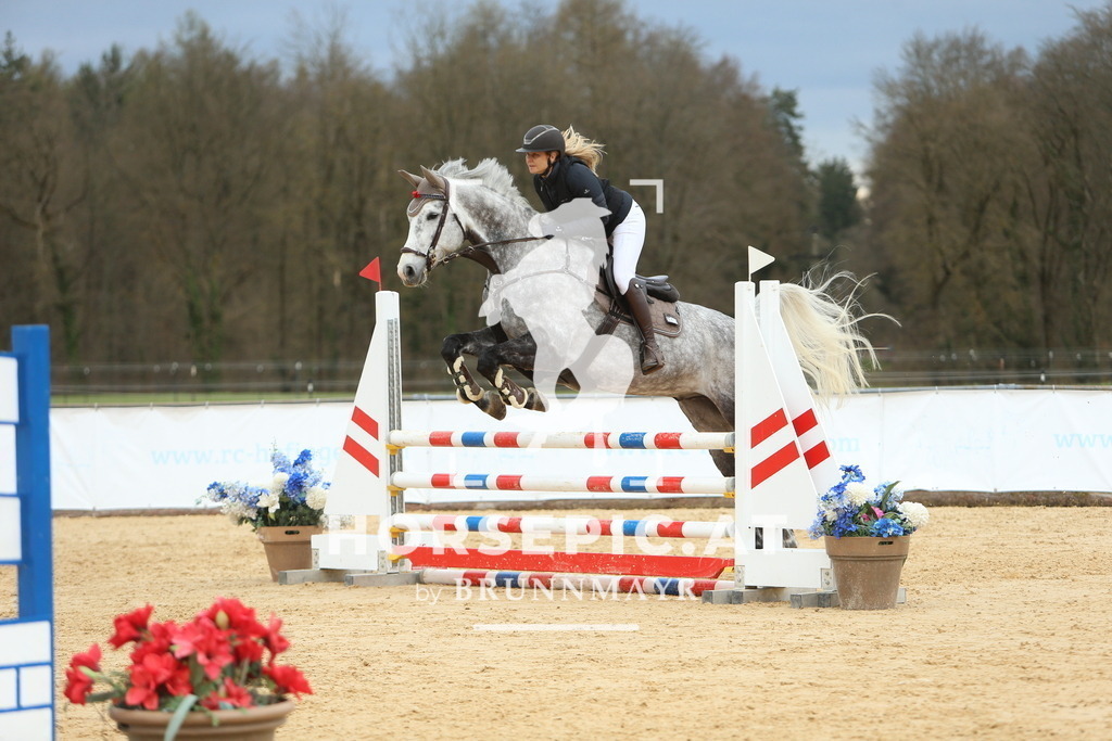 DL2Q2551 | Willkommen bei Brunnmayr - Design & Fotografie – Ihrem Spezialisten für Reitturniere und Pferdeveranstaltungen in Oberösterreich, Salzburg und Bayern! Seit über 17 Jahren sind wir leidenschaftlich dabei.