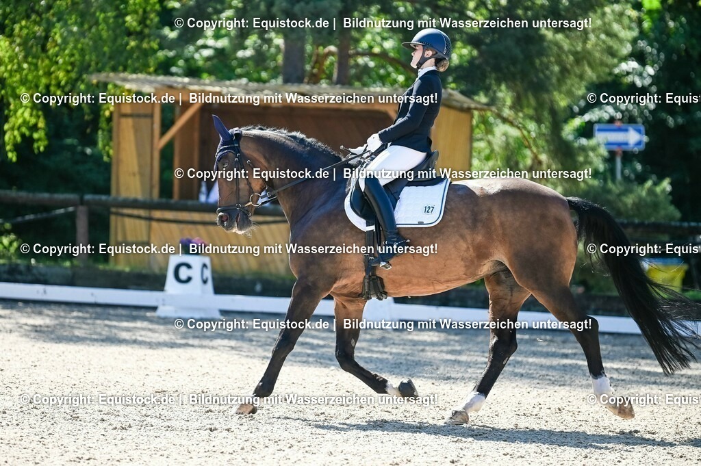 20230908_06_Dressur-L-Trense_0409 | equistock