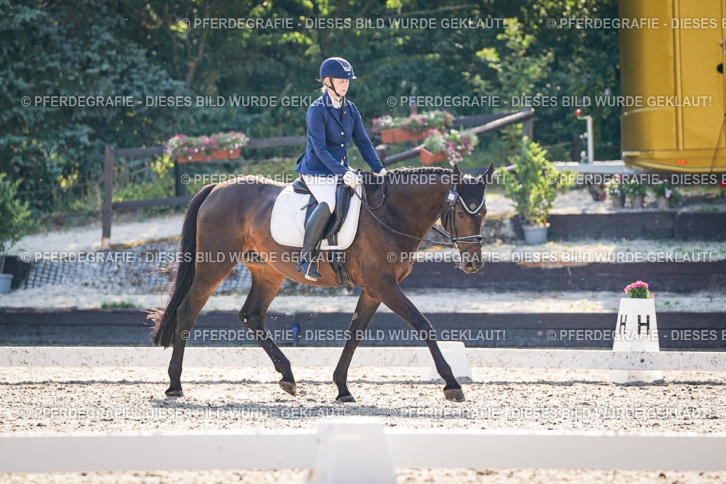 DSC09257 | Pferdegrafie