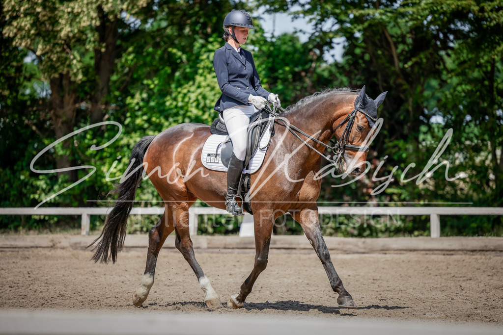 20250621-_3LI8676 | Tierfotografie Pferde, Hunde, Katzen, Haustiere.
Turnierfotografie Reitturniere, Reiten, Springreiten, Dressur in Hanau, dem Main-Kinzig-Kreis und dem Rhein-Main- Gebiet um Frankfurt