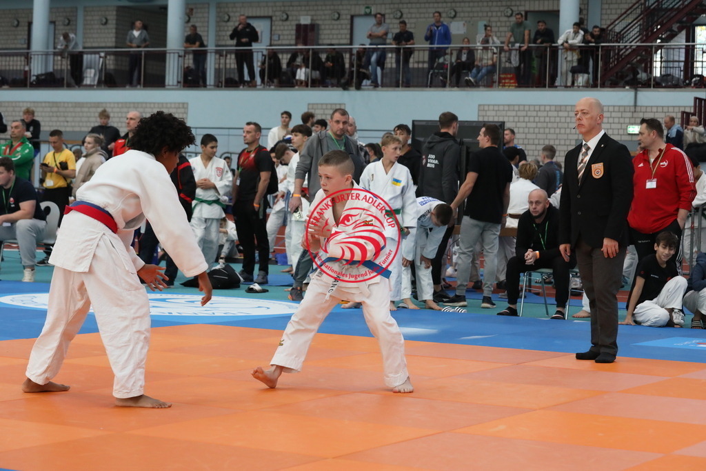 1J7A2200 | Fotos vom Adler Cup - Pictures from Adler Cup

Hier findet Ihr alle Eindrücke und großen Momente der Adler Cup Wochenenden. Here you will find all impressions and great moments of the Adler Cup weekends. - Realisiert mit Pictrs.com