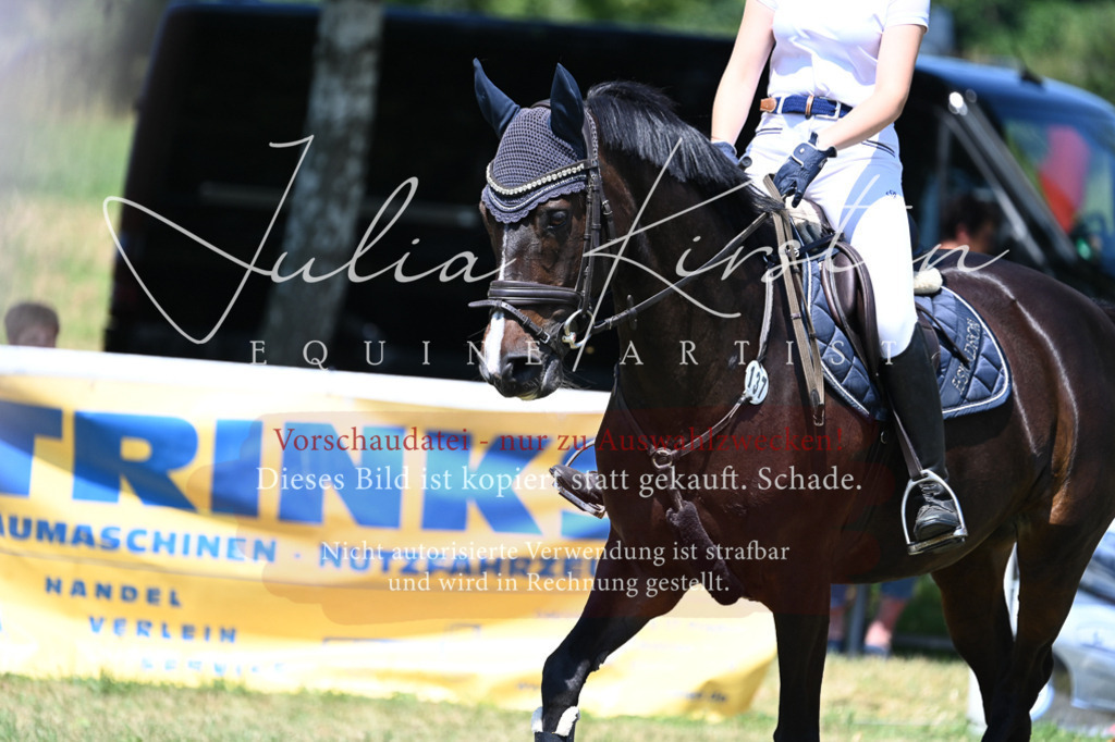 DSC_0727 | Pferde- und Turnierfotografie in Westsachsen. Pferdeportraits, Auftragszeichnungen und intuitive Kunst.