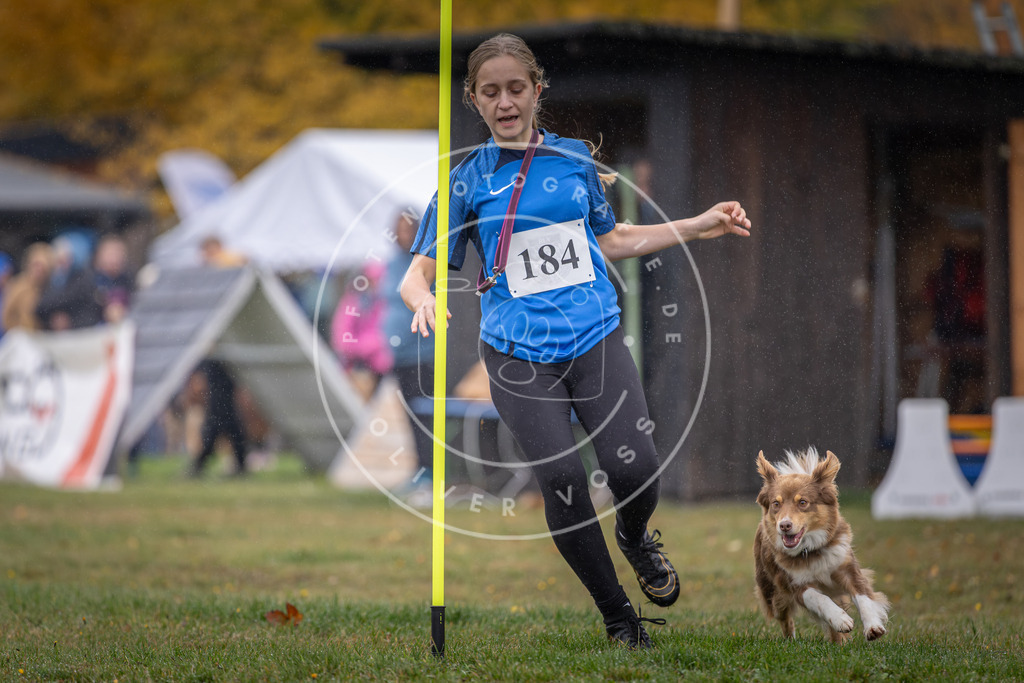 Pfotenfotografie_DV3A9718 | Hundefotografie, Tierfotograf, Pfotenfotografie, Fotoshooting Hund, Hunde Portrait, Hundesport, Hundeportraits, Heideshooting, Hunde, Sportfotograf, Hundefotograf, Turnierhundsport, THS,  - Realisiert mit Pictrs.com