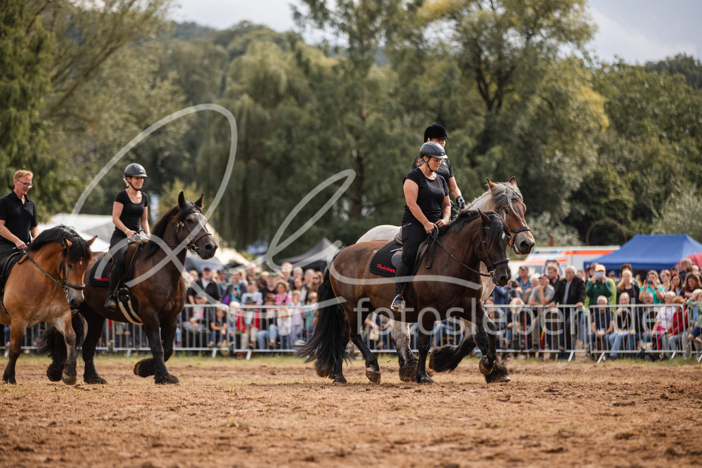 846A4001 | fotosleben - Realisiert mit Pictrs.com
