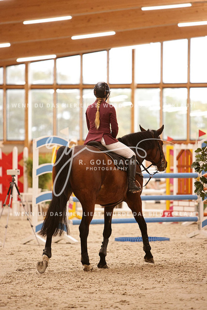 1J2A9524Juliane Weihs_ Hell Boy van de Zuuthoeve Z_ Kn278_ Glantz_ Hohen Wieschendorf | Foto- und Videografie für alles rund ums Pferd. Hochwertige Bilder und Videos vom Spring- und Dressurreiten, Voltigieren & mehr. Jetzt aktuelle Veranstaltungen und Preise im Shop ansehen. - Realisiert mit Pictrs.com