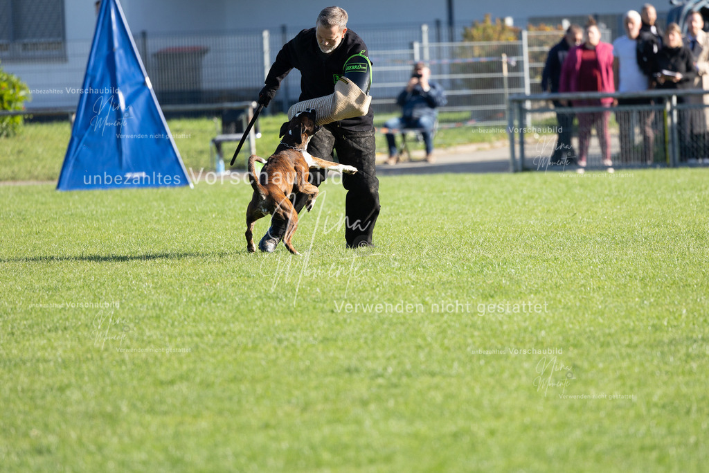 _16A5146 | Einzigartige Fotos von Hunden & Menschen –Actionfotos, Portraits, Vereinsaufnahmen & Paarshootings – authentisch, lebendig & mit Herz.