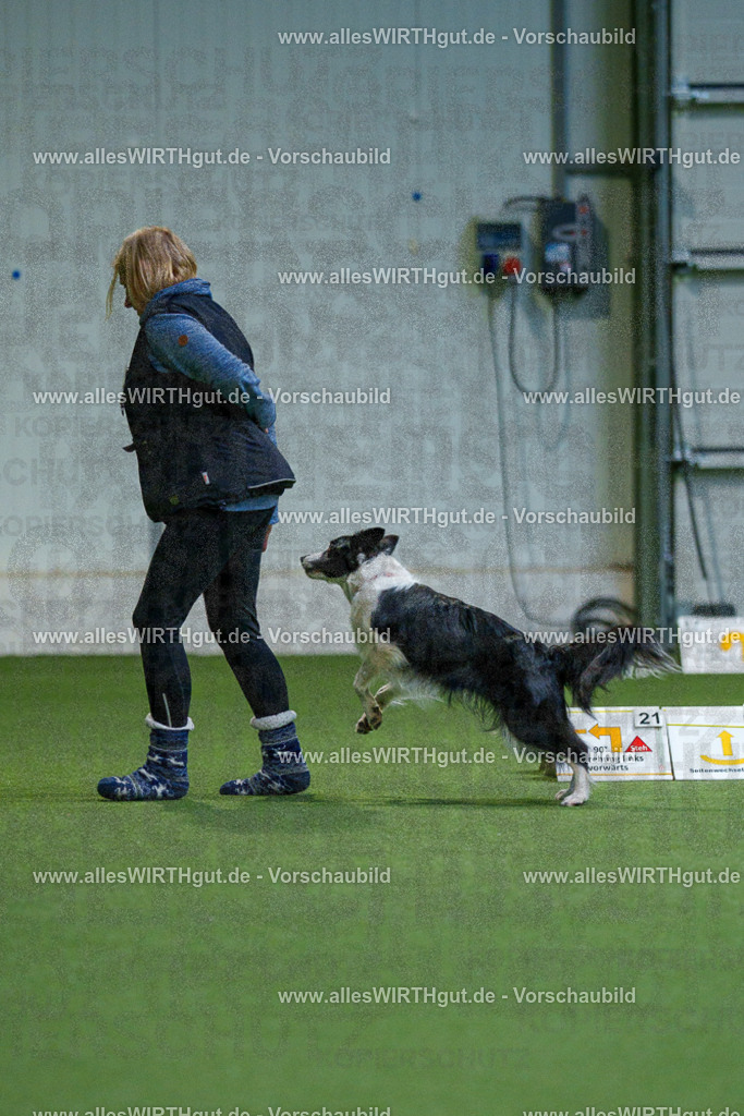 7R501055 | Professionelle Tierfotografie in Mönchengladbach von Daniel Wirth (allesWIRTHgut). Liebevolle & natürliche Bilder von Hunden & Katzen für unvergessliche Erinnerungen.