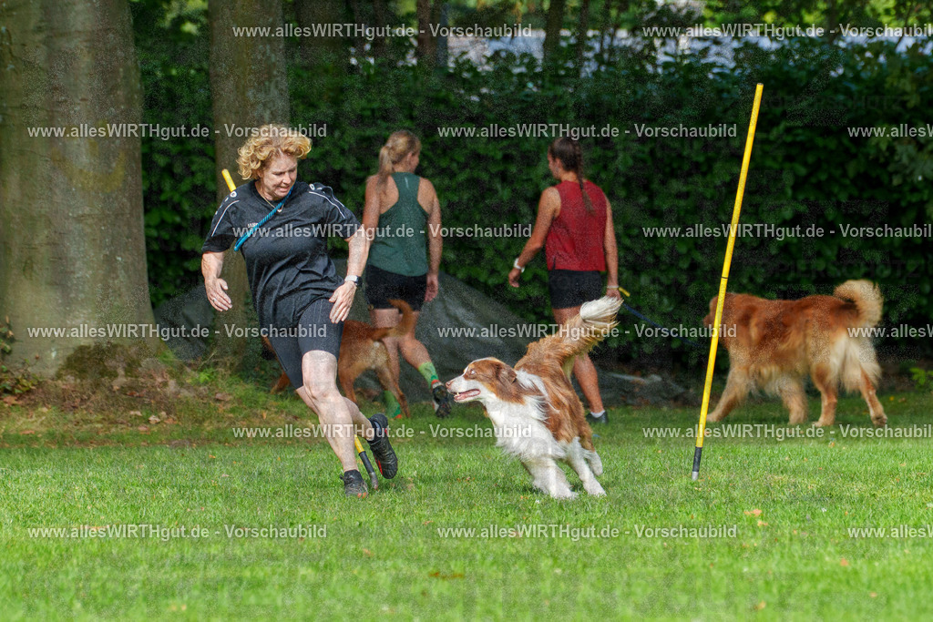 THS_Turnier_27-09-2026-allesWIRTHgut_Tierfotografie-7R507063 | Professionelle Tierfotografie in Mönchengladbach von Daniel Wirth (allesWIRTHgut). Liebevolle & natürliche Bilder von Hunden & Katzen für unvergessliche Erinnerungen.