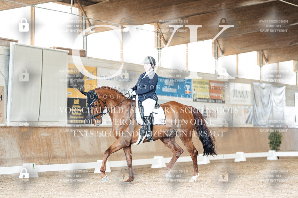 CK901676 | Turnierfotografie Pferdefotografie Trier Rheinland-Pfalz Pferdesport Reitsport Tierfotografie Sportfotografie Pferdevideo Pferdevideografie Equestrianvideography equestrianphotography  - Realisiert mit Pictrs.com