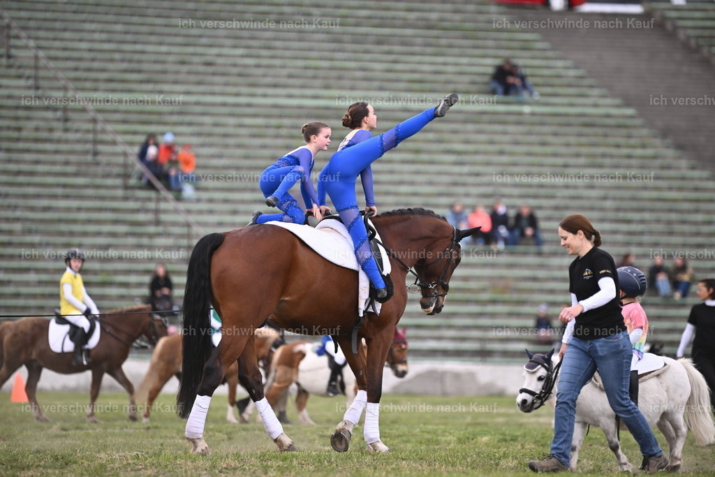 PI26_Show_Sara_Landvogt_226_1688.JPG | working equitationturnier fotograf videograf stoibphotography marixx film working equitation deutschland reitsport turnierfotografie eventfotografie equestrian events