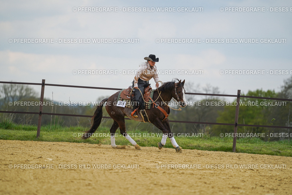 DSC07415 | Pferdegrafie