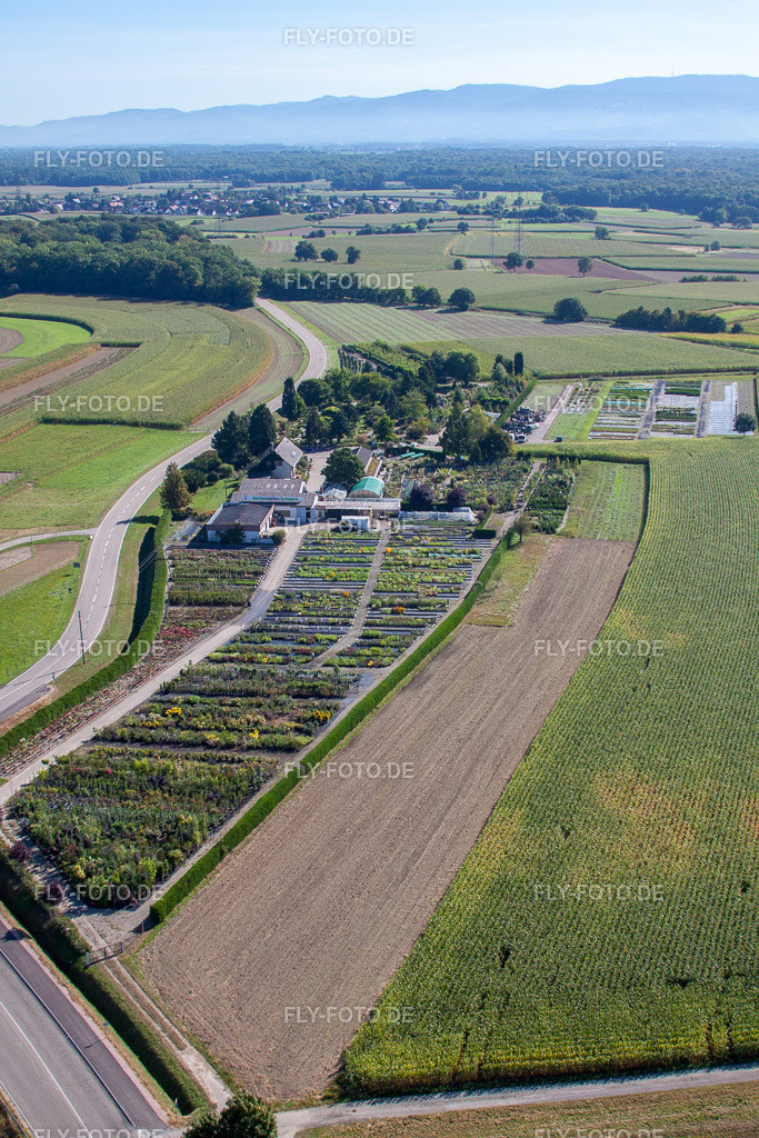 Gartenzeiten  Schwarz https://gartenzeiten-schwarz.de/ | Luftbild: Gartenzeiten  Schwarz https://gartenzeiten-schwarz.de/ im Ortsteil Bodersweier in Kehl im Bundesland Baden-Württemberg in Deutschland. Foto: IMG_20634.jpg vom 31.08.2009 durch Werner Riehm/FLY-FOTO.de - Realisiert mit Pictrs.com