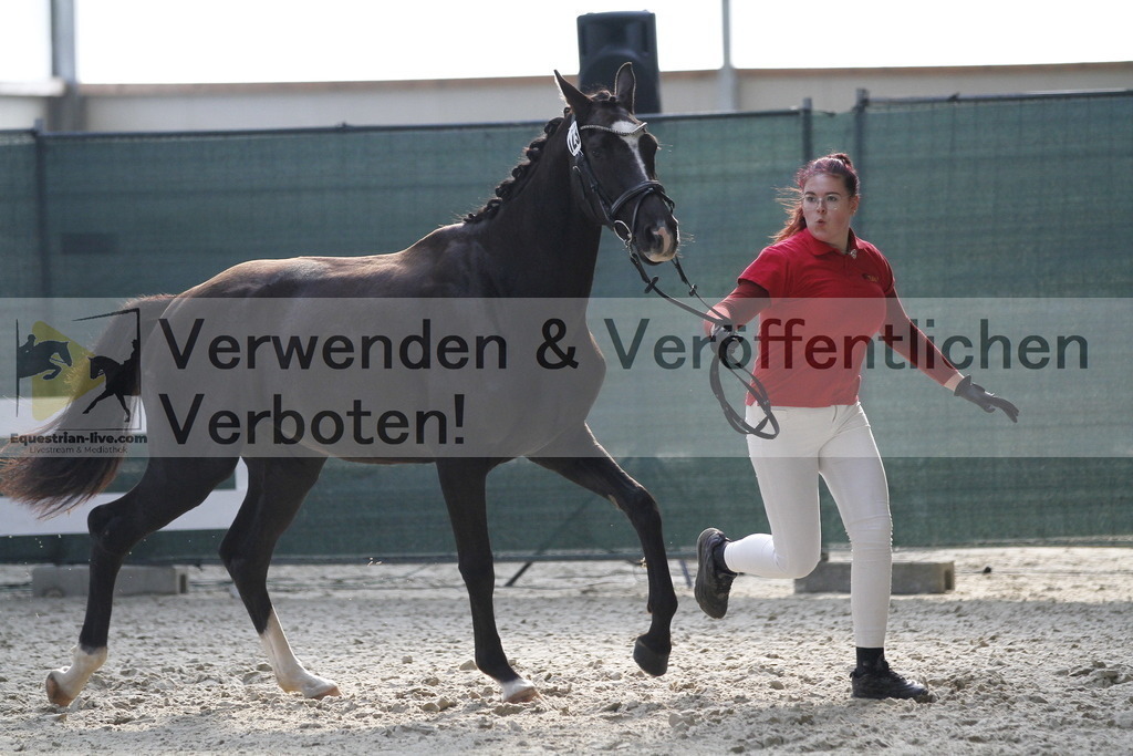 _MG_9646 | equestrian-live-com