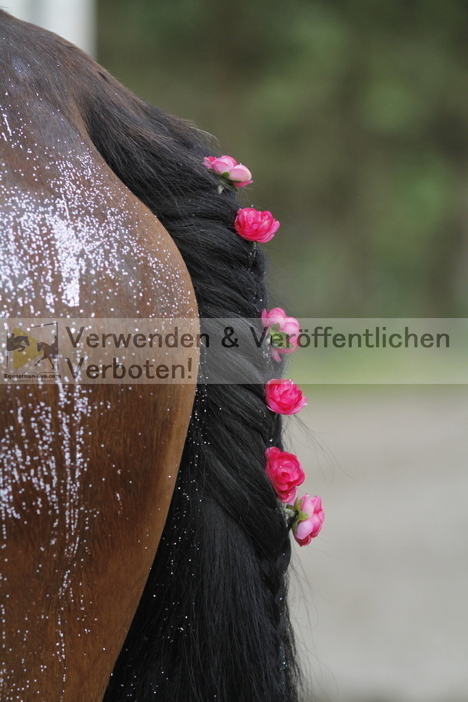 _MG_5519 | equestrian-live-com