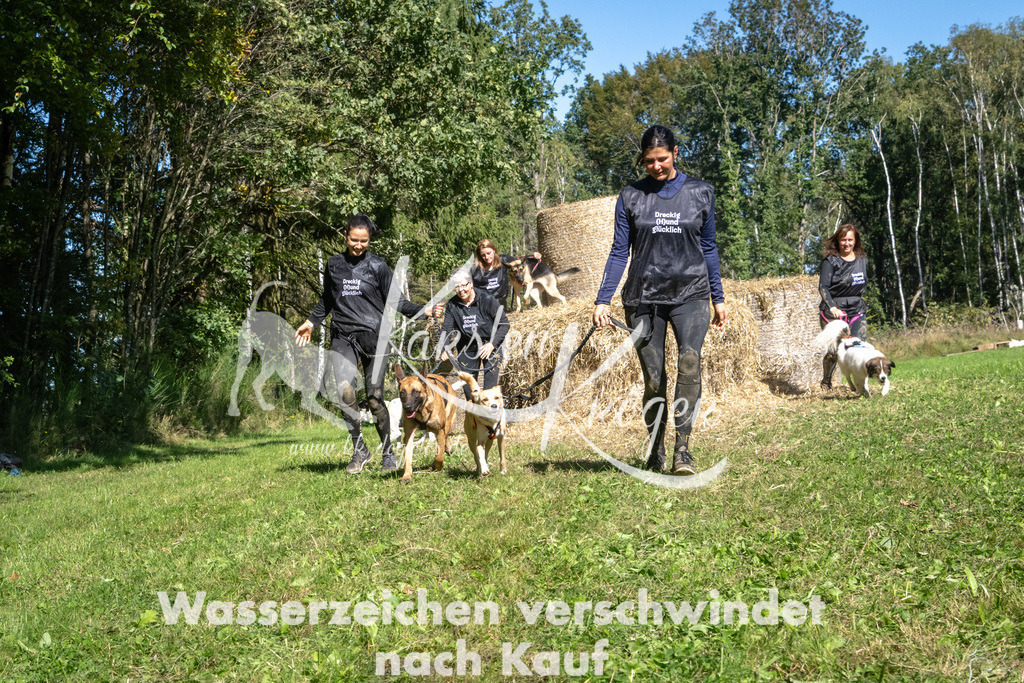 1246_ZZ92294-2 | kk-dogfotos