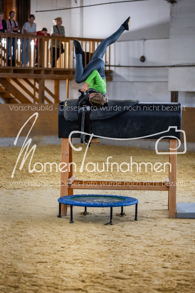 Holzpferd-020 | MomenTaufnahmen Pferdesportfotos