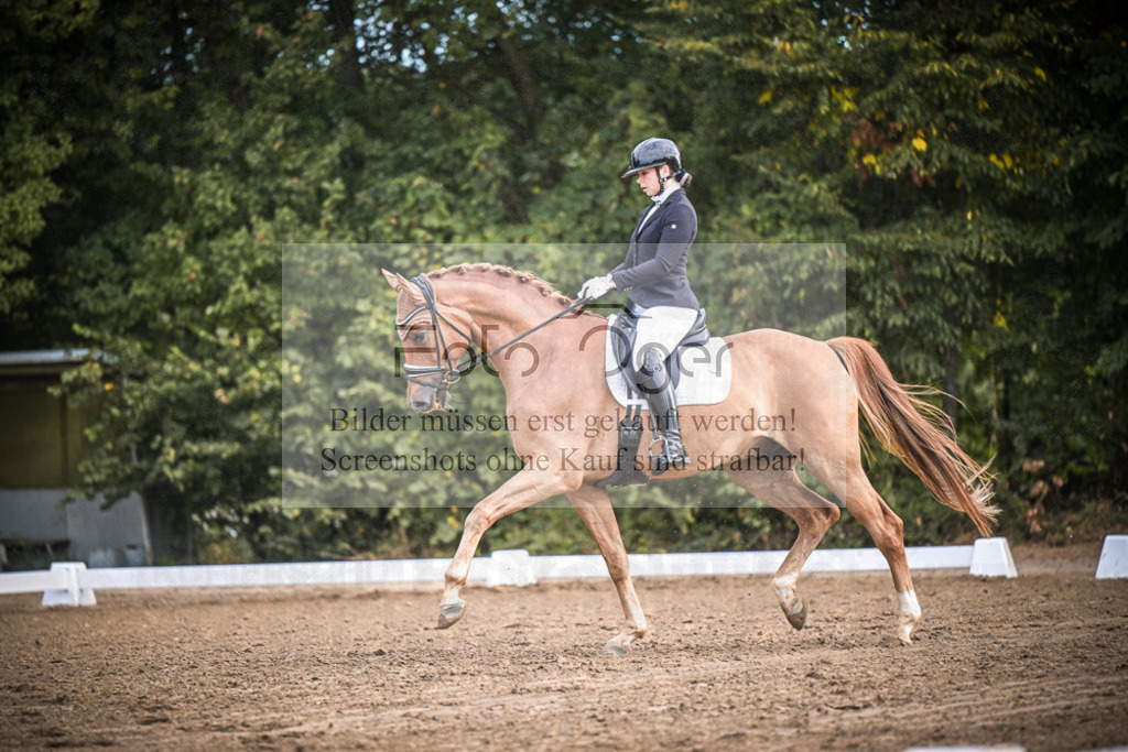 DOS_0472 | Entdecke hochwertige Reitturnierfotos von Foto Oger. Professionell, emotional und authentisch – jetzt Lieblingsmomente im Shop bestellen.Deutschlandweite Turnierfotografie. - Realisiert mit Pictrs.com