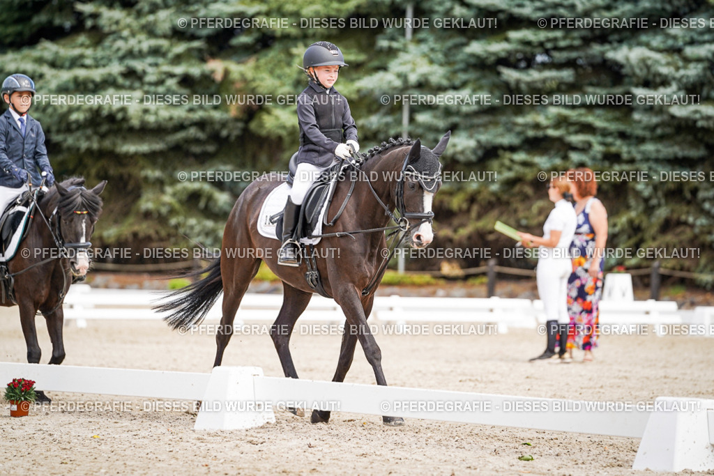 DSC02825 | Pferdegrafie