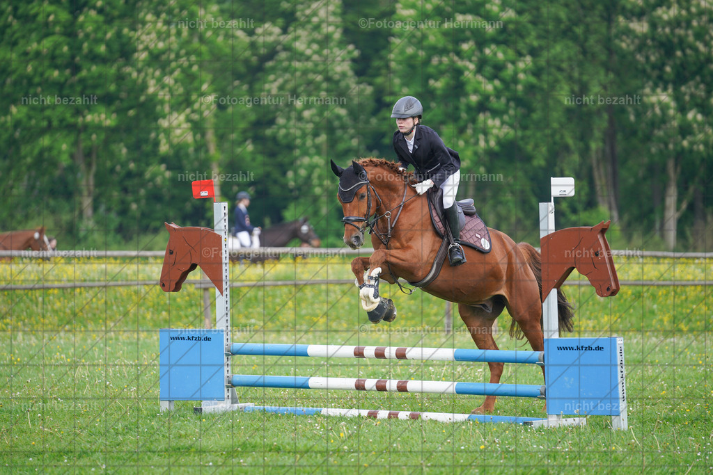 20240509-FAH02187 | Turnierbilder der Turnierfotografen Bayern, Pferdesport Fotografie, Reitsportbilder, Turnier Landberg am Lech, Turnierbilder bayern, Fotoagentur Herrmann