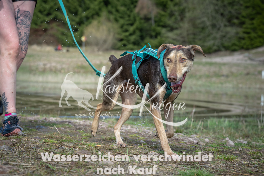 1112_ZZ93359 | kk-dogfotos