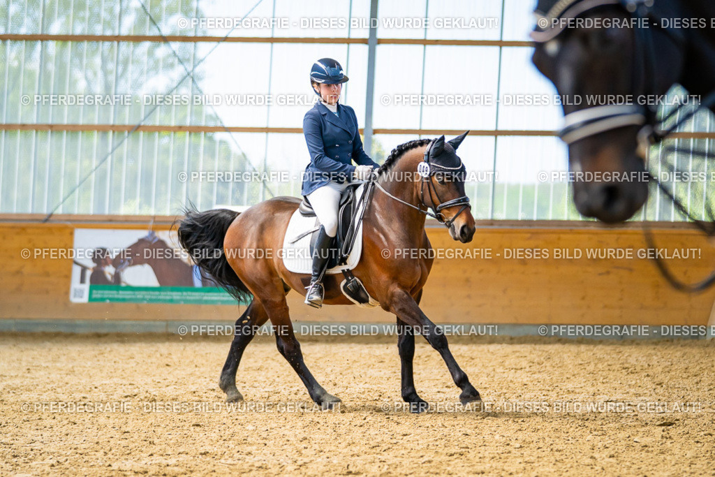 DSC09464 | Pferdegrafie