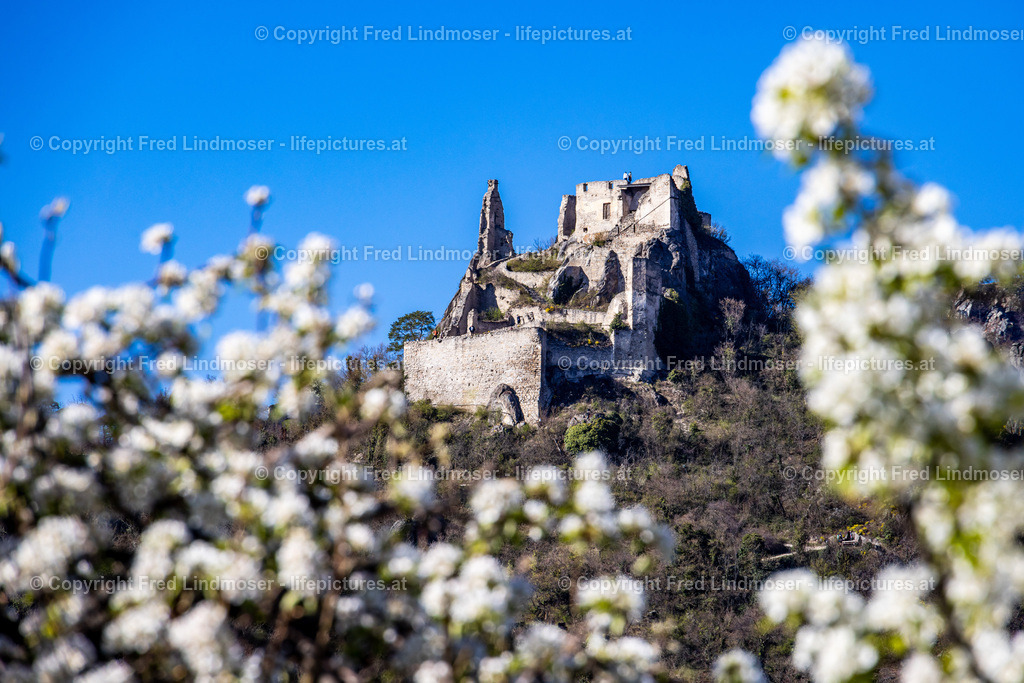 Durnstein Wachau-5770 | Fotos und Fotoprodukte - Realisiert mit Pictrs.com