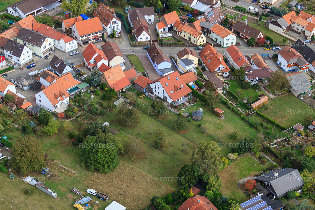 Luftbild: Eichstr in Minfeld im Bundesland Rheinland-Pfalz in Deutschland. Foto: IMG_22569.jpg vom 15.10.2009 durch Werner Riehm/FLY-FOTO.de