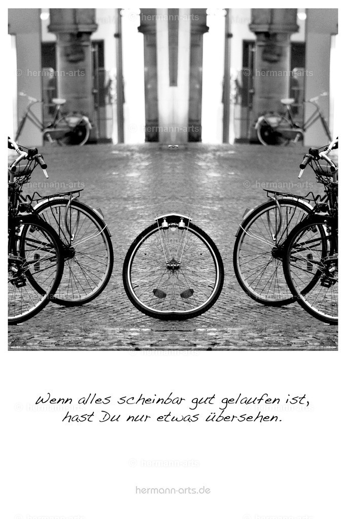 PK_Zitate_10x15_BW-059 | Photo Foto Kunst Art schwarzweiss Bilder Rheine Münster Berlin Blumen 