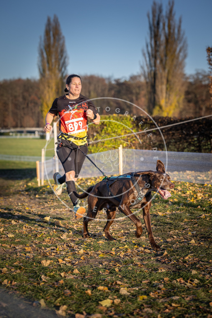 CaniXpix_DV3A4593 | Hundefotografie, Tierfotograf, Pfotenfotografie, Fotoshooting Hund, Hunde Portrait, Hundesport, Hundeportraits, Heideshooting, Hunde, Sportfotograf, Hundefotograf, Turnierhundsport, THS,  - Realisiert mit Pictrs.com