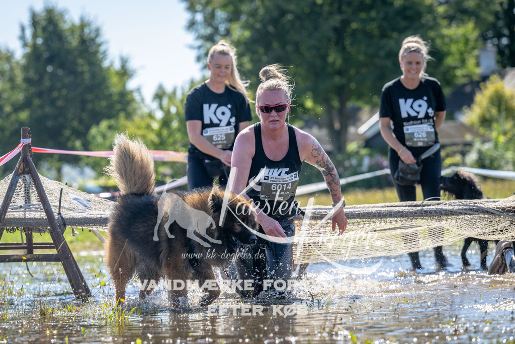 1252_ZZ90345 | kk-dogfotos