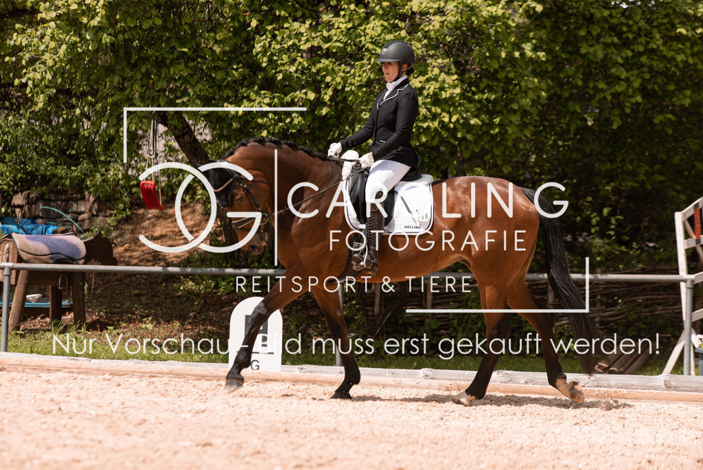 DSC_0466 | Turnierfotografin Carolin Gieschke, Turnierfotografie Carolin G Fotografie, Turnierfotos Kirchheim/Teck, Esslingen, Stuttgart, Bodenseekreis
