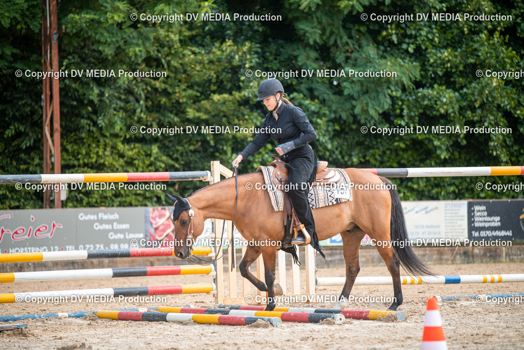 ZS2_7502 | dv-media-shop - Realisiert mit Pictrs.com