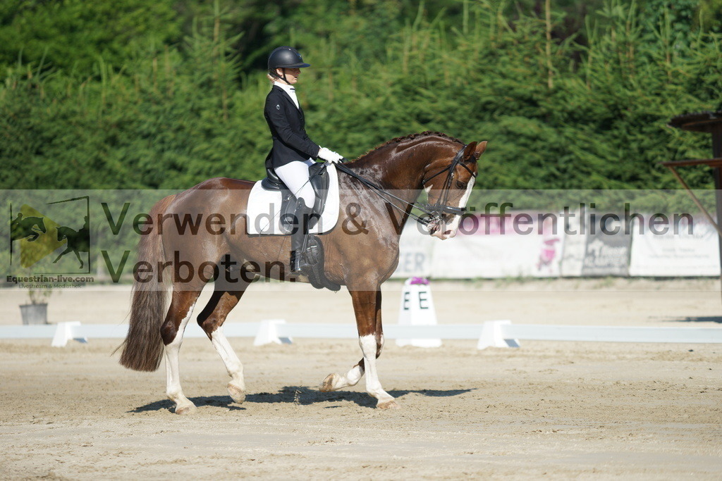 DSC02884 | equestrian-live-com