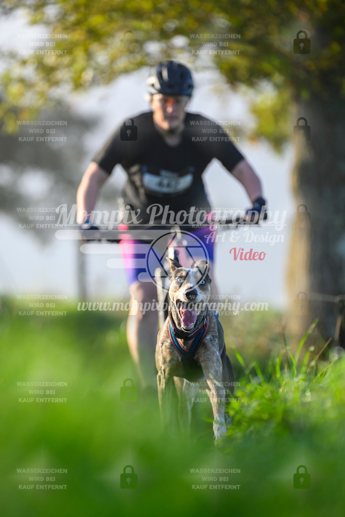 MompixPhotography_20TSB_E3_Bike-173 | PayLife
