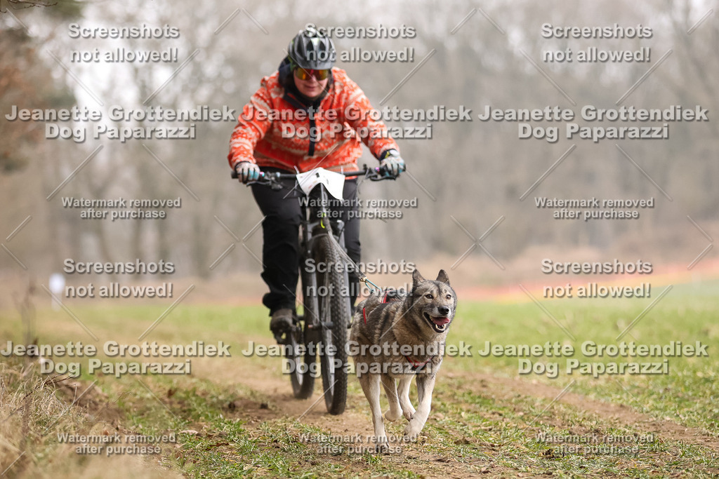 Dog Paparazzi - Plate 2026-63 | Dog Paparazzi Jeanette Grottendiek Fotografie & Videografie - Realisiert mit Pictrs.com