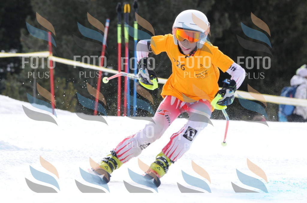 C7648 | holidayphoto