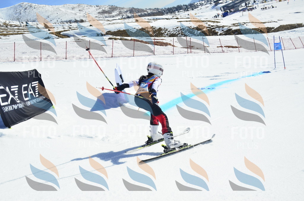 _ELE9903 | holidayphoto