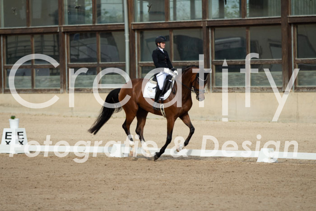 IMG_0953 | Creatify Fotografie