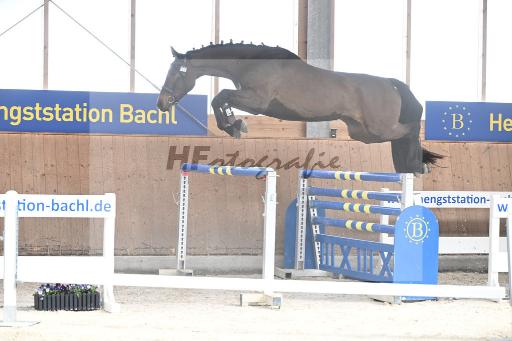 Kat-Nr. 40 Emma von Imhoff v. Cornet Obolensky_Imhoff_5251769 | hf-fotografie - Realisiert mit Pictrs.com