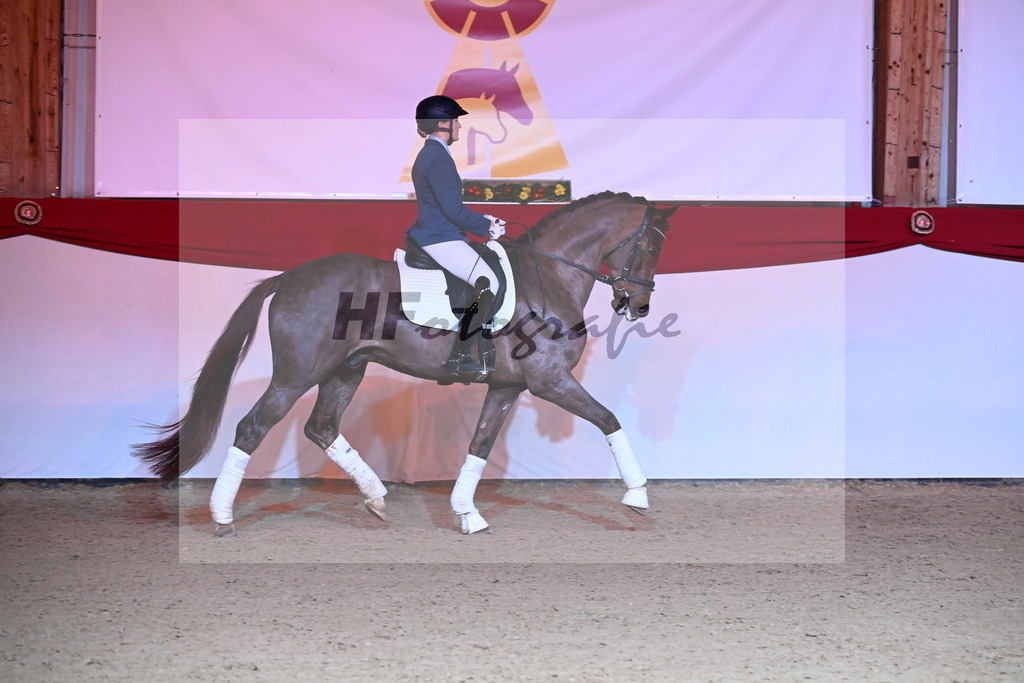 Valenziano_Müller_2254402 | hf-fotografie - Realisiert mit Pictrs.com