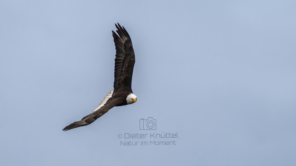 P1628215-Bearbeitet-2023-2-LR | Natur im Moment - Realisiert mit Pictrs.com