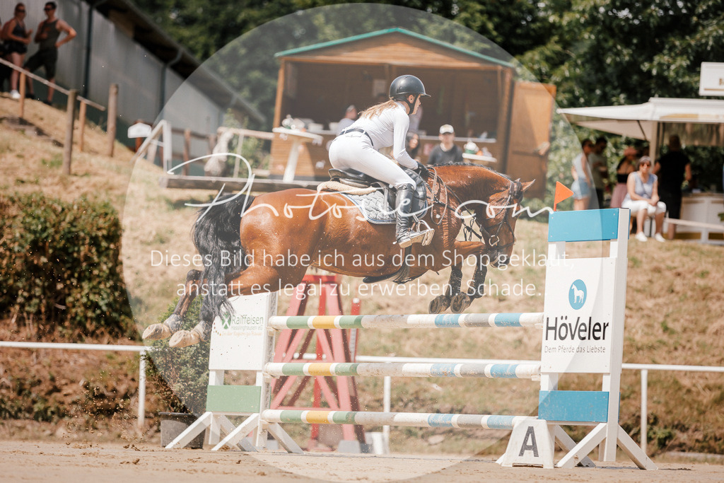 3I6A7748 | Stimmungsvolle Portraits und Reitsportfotografie im Ruhrgebiet und im Münsterland.

Pferdefotografie, Hundefotografie, Tierfotografie, Reportagen, Portraits von Tier und Mensch, Turnierfotografie in Bochum, Recklinghausen, Marl, Haltern am See, Dülmen.. - Realisiert mit Pictrs.com