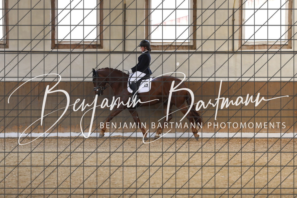 AZ2A8072 | Benjamin Bartmann Photomoments